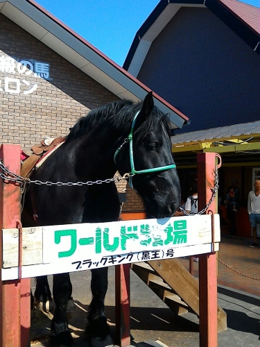 ワールド牧場・スーパー銭湯 (3)