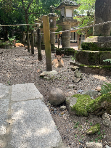 ブログ写真１
