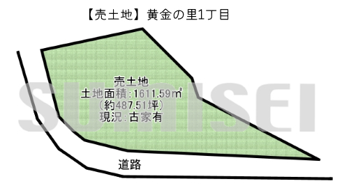 黄金の里1丁目46-6（土地5880万）ブログ用