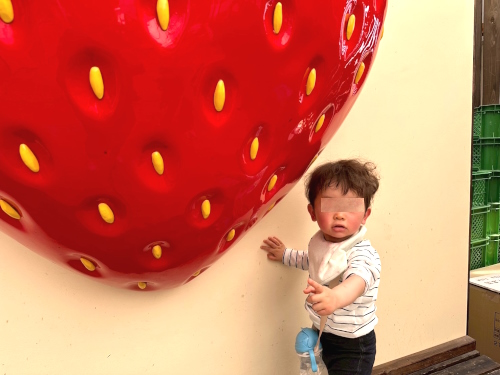 写真3.1