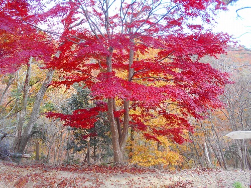 能勢方面へ🍁