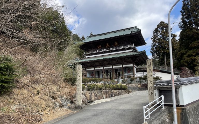 神社とお寺巡りシリーズ！⛩