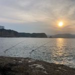 大好きな和歌山県で(^▽^)/