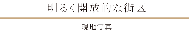 現地写真