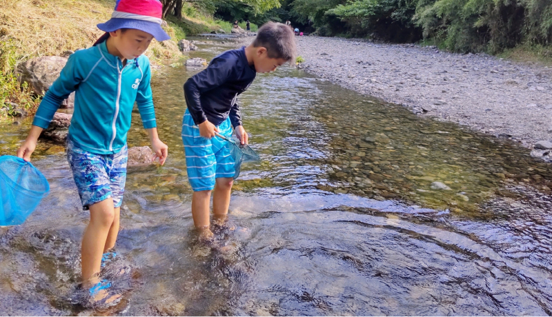 近くの水無瀬川では川遊びが出来ます