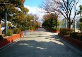 若園公園