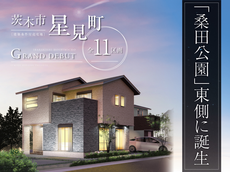 星見町