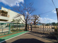 若松小学校