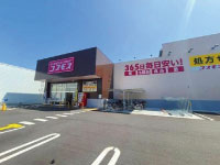 コスモス