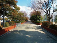 若園公園